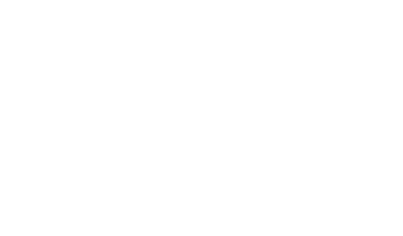 lider-adana