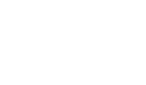 rotadent